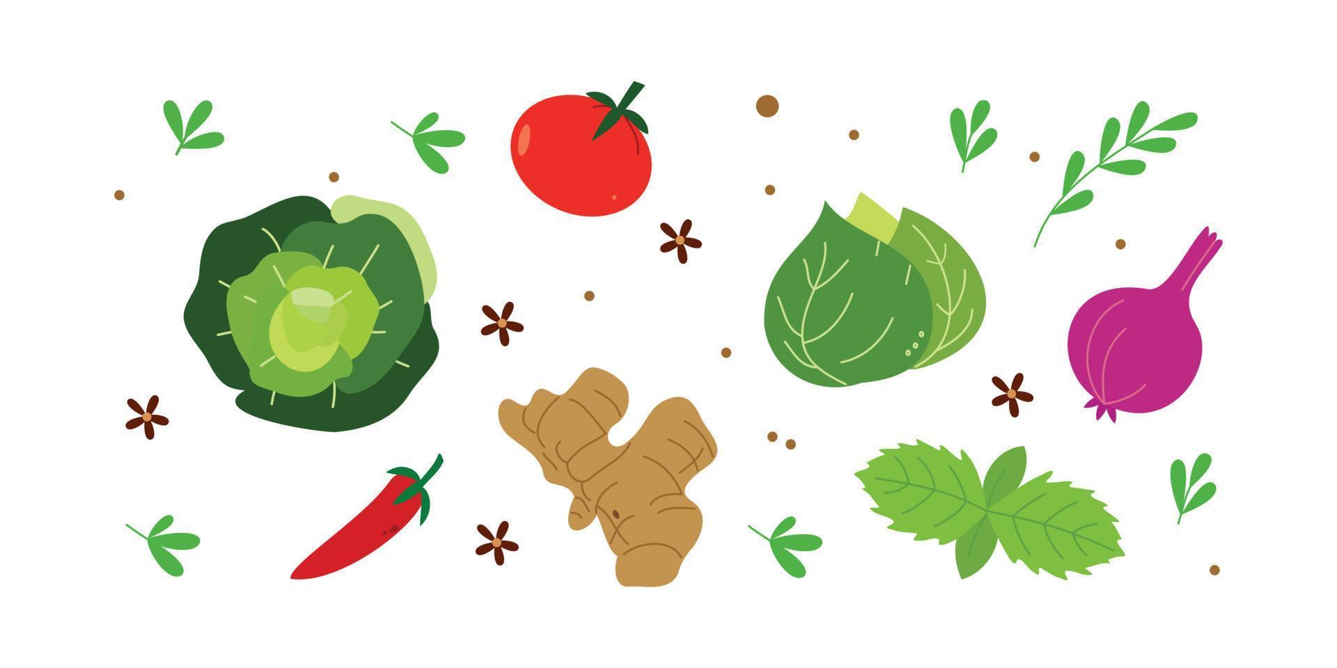colección de ilustración de hierbas y vegetales. conjunto de alimentos crudos saludables en estilo de dibujos animados vector