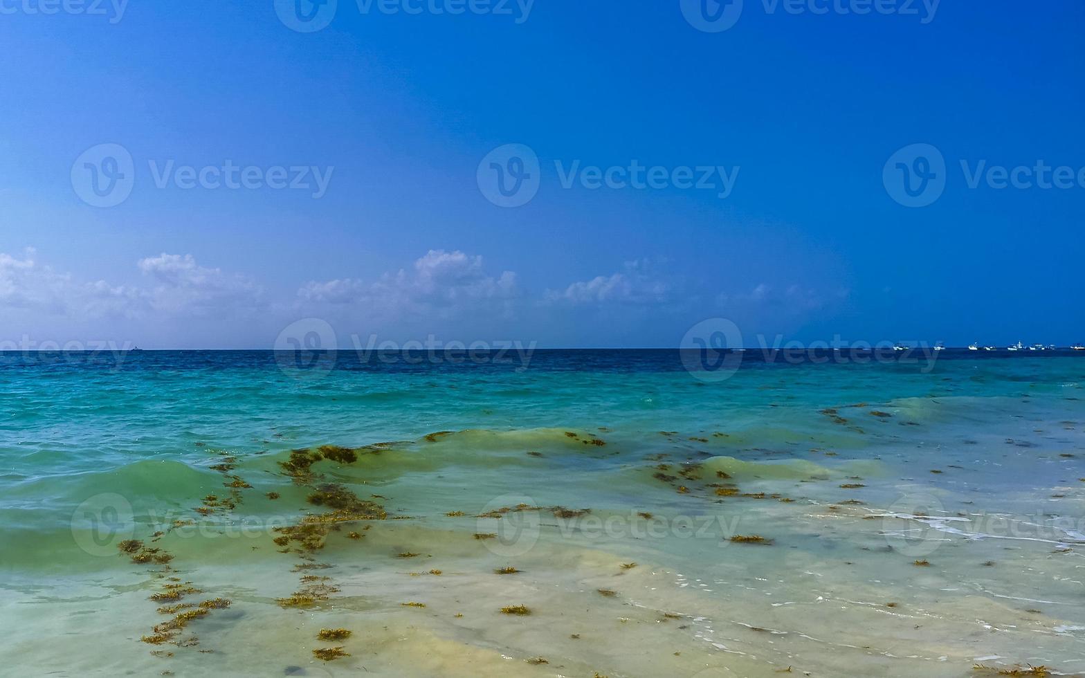 Tropical Caribbean beach water seaweed sargazo Playa del Carmen Mexico. photo