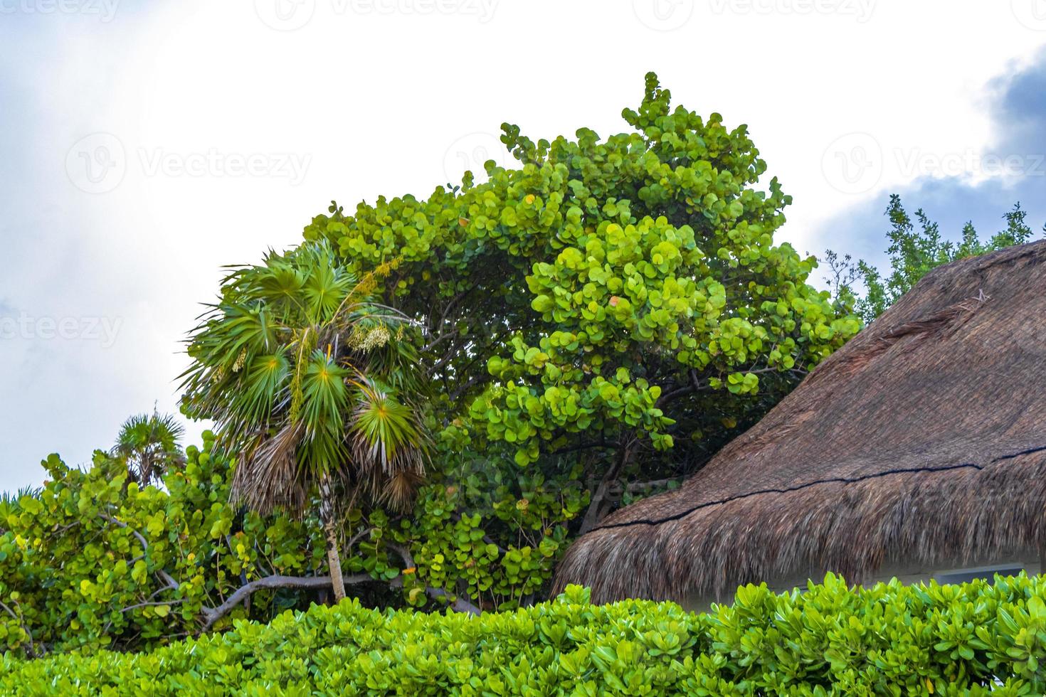 complejo con techo de palapa en playa tropical playa del carmen méxico. foto