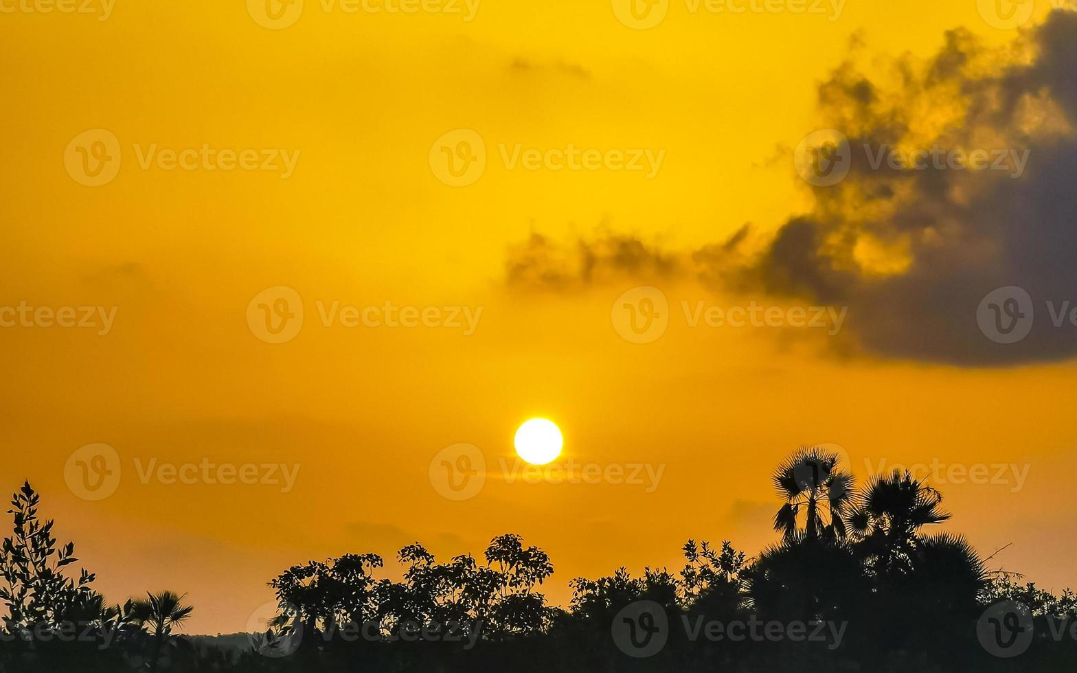 Beautiful colorful tropical sunrise in paradise Playa del Carmen Mexico. photo