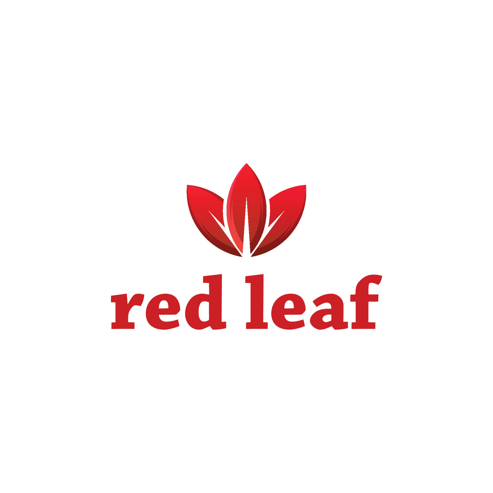 creative-red-leaf-logo-design-18854320-vector-art-at-vecteezy