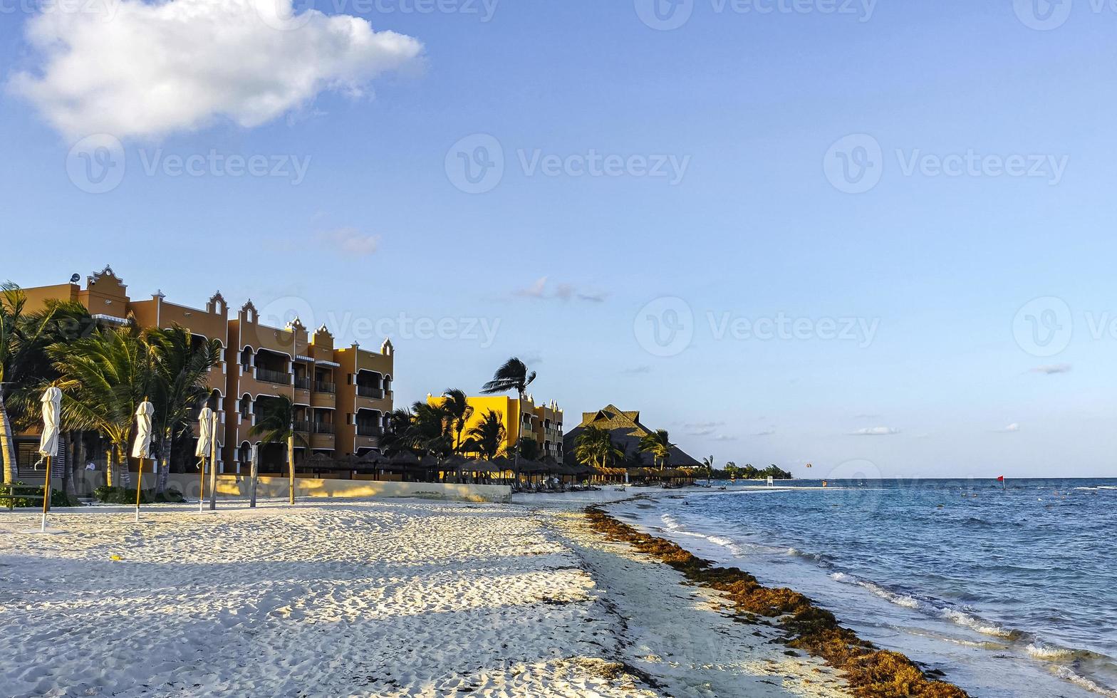 Tropical Caribbean beach water seaweed sargazo Playa del Carmen Mexico. photo