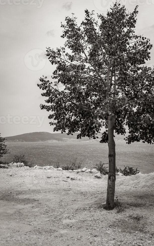 Novi Vinodolski seascape mountains view behind a tree in croatia. photo