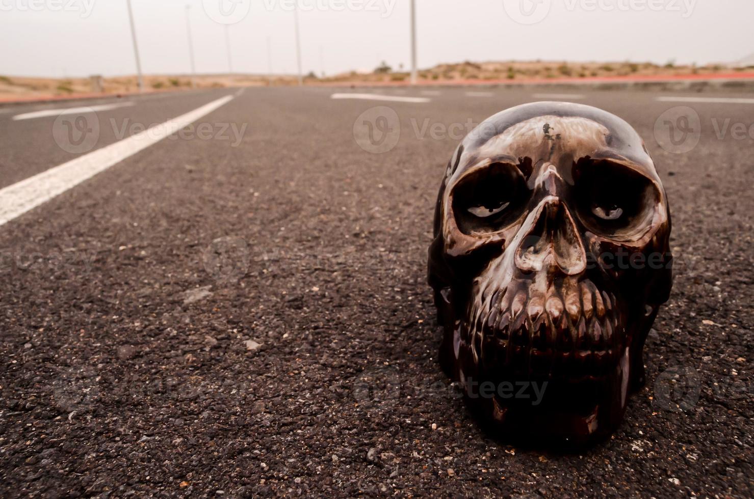 Skull on the road photo