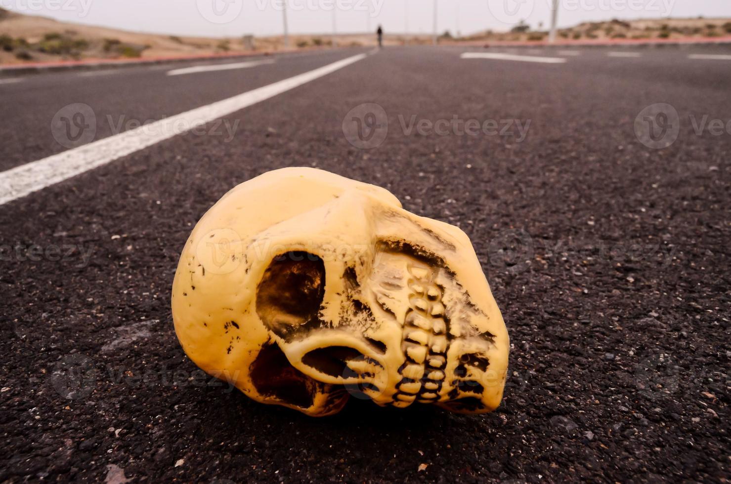 Skull on the road photo