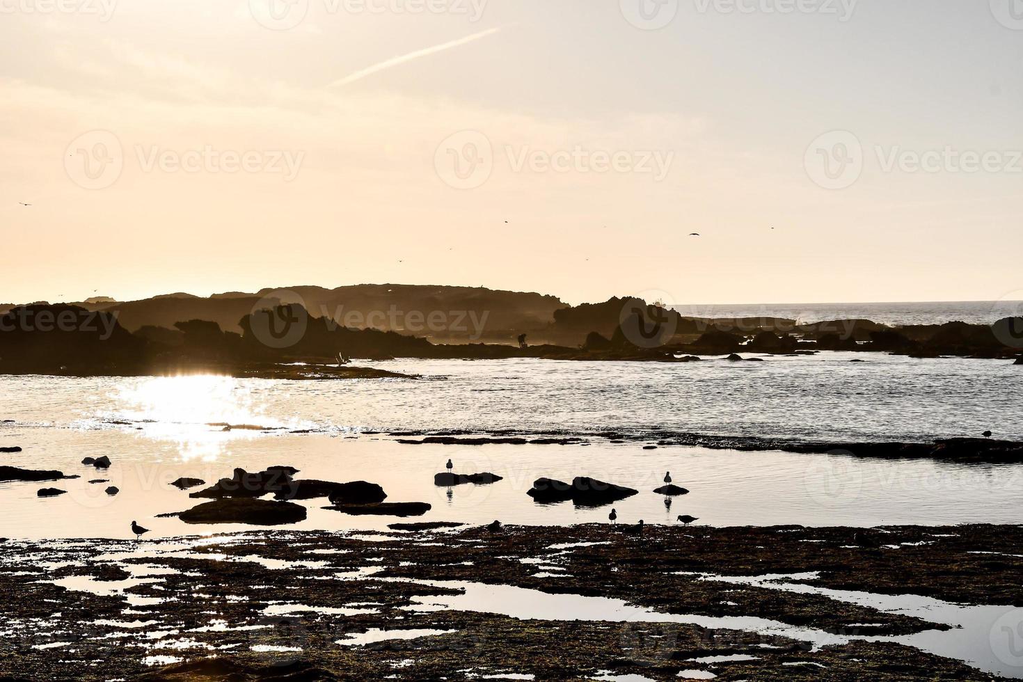 Seascape in summer photo