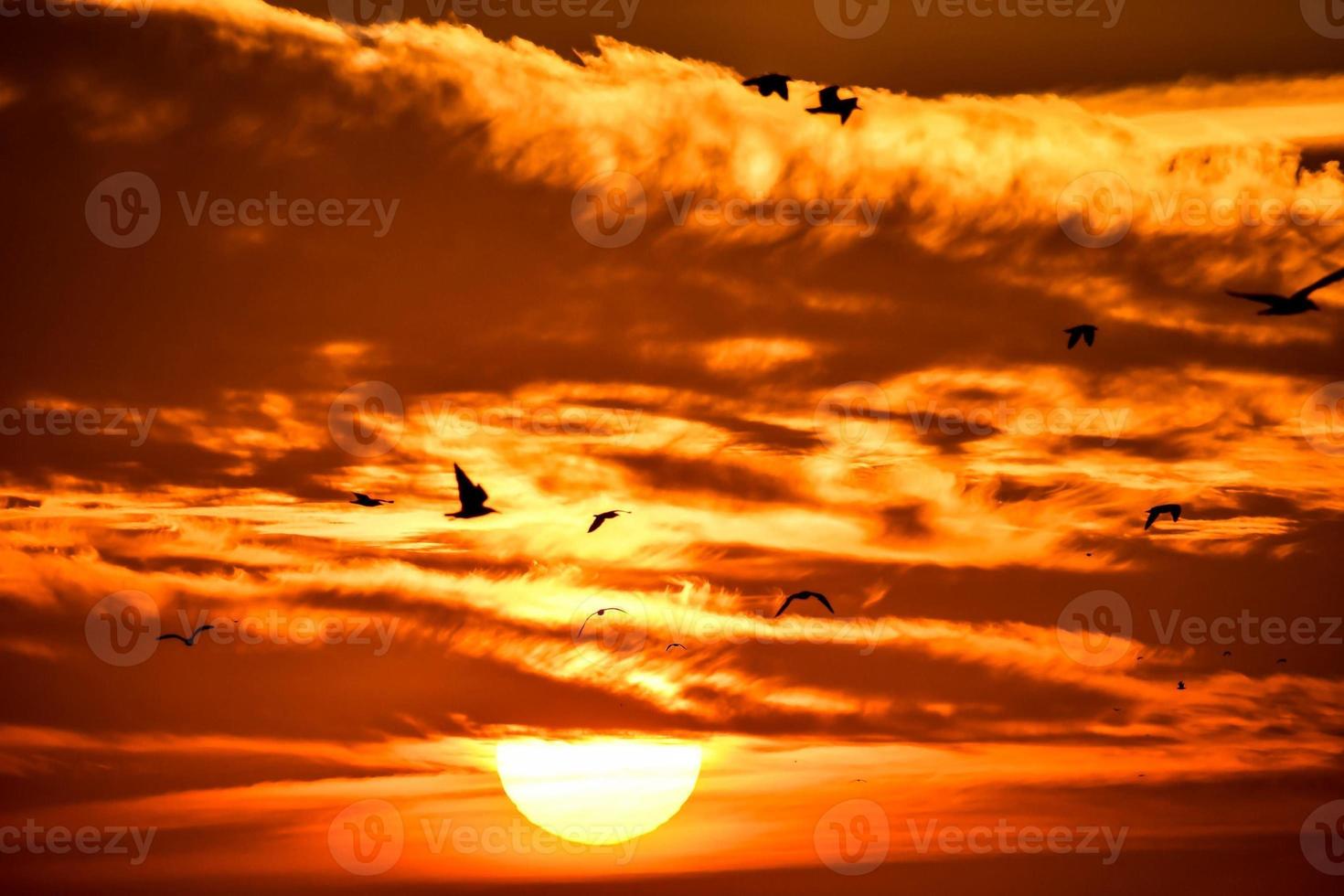 Colourful sky at sunset photo