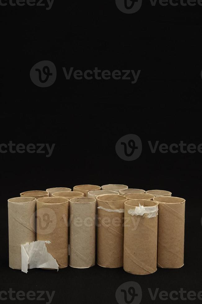 Empty Toilet Paper Roll photo