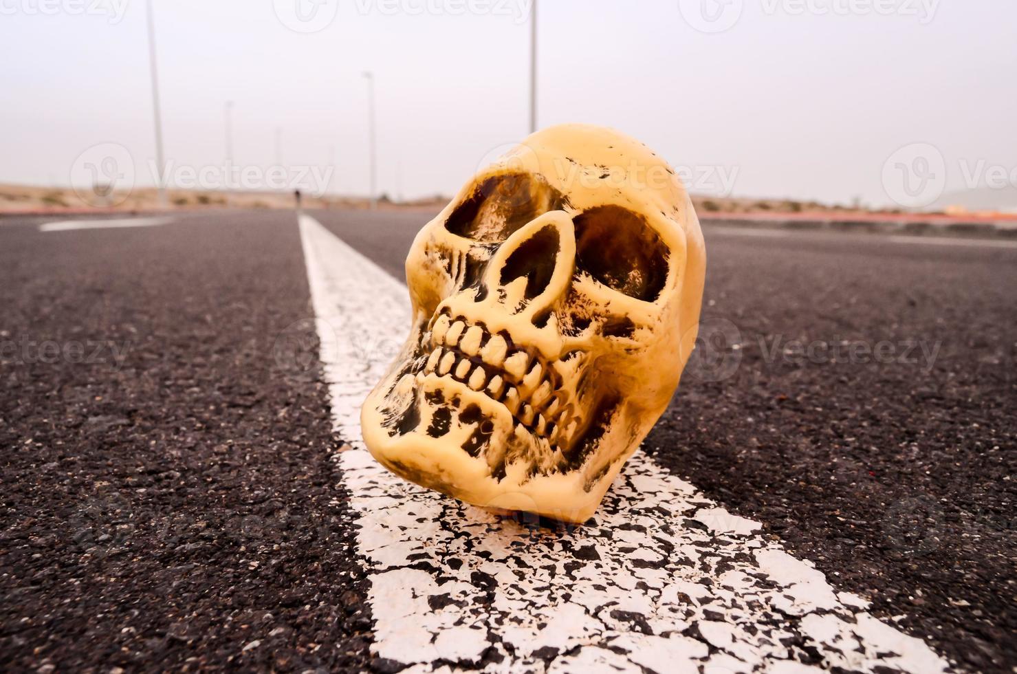 Skull on the road photo