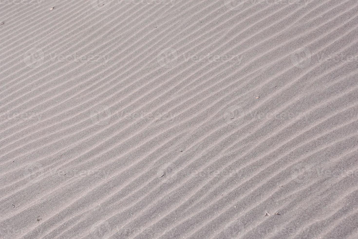 líneas en la arena foto