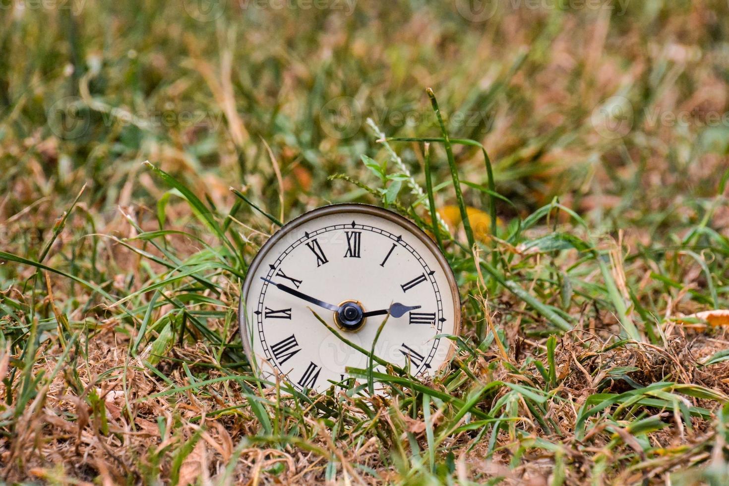 Watch in the grass photo