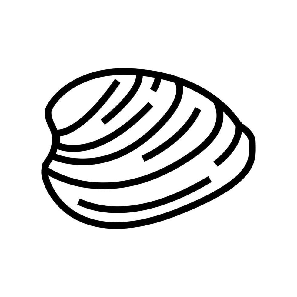 océano quahog almeja línea icono vector ilustración
