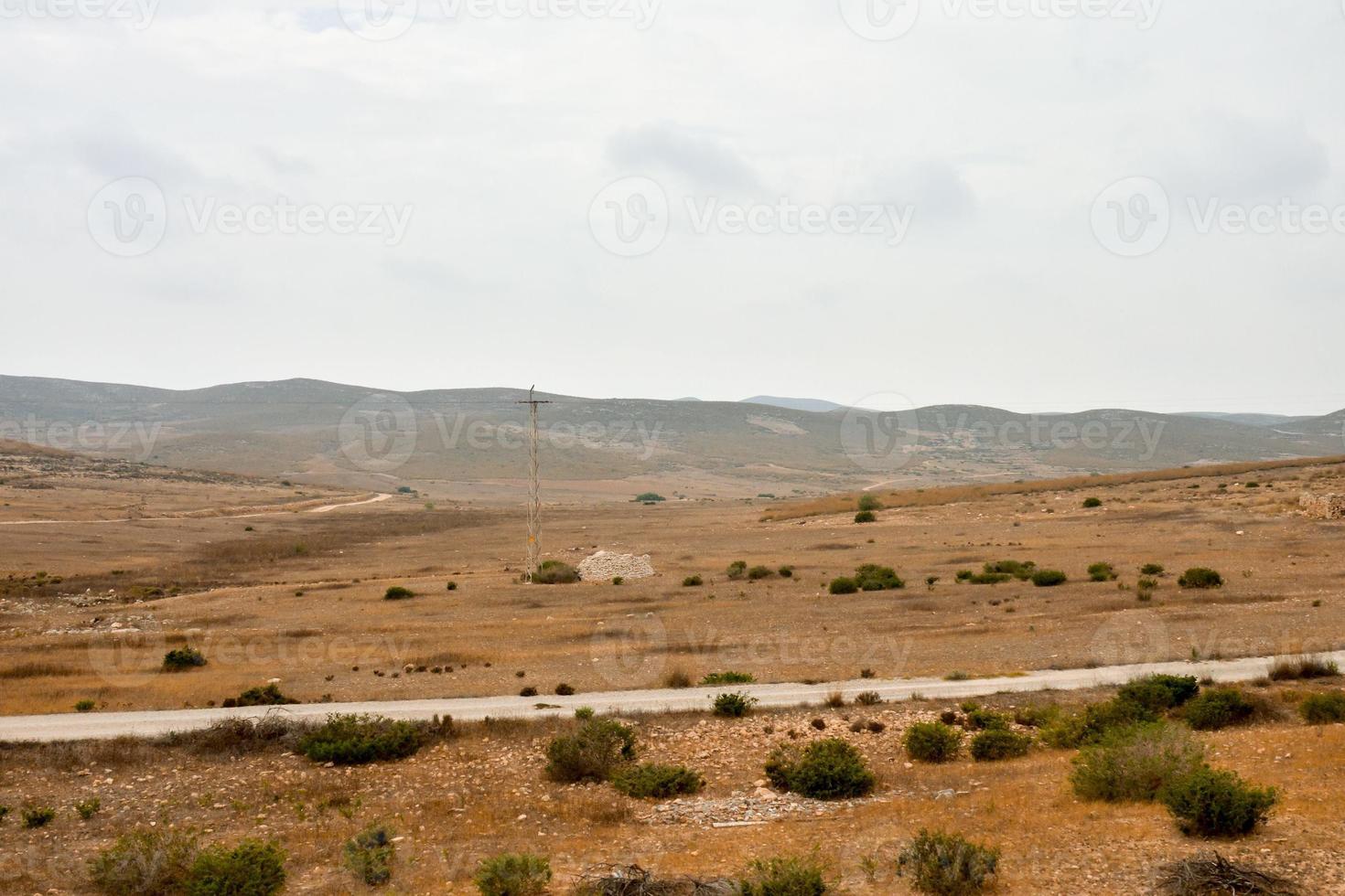 Landscape in summer photo