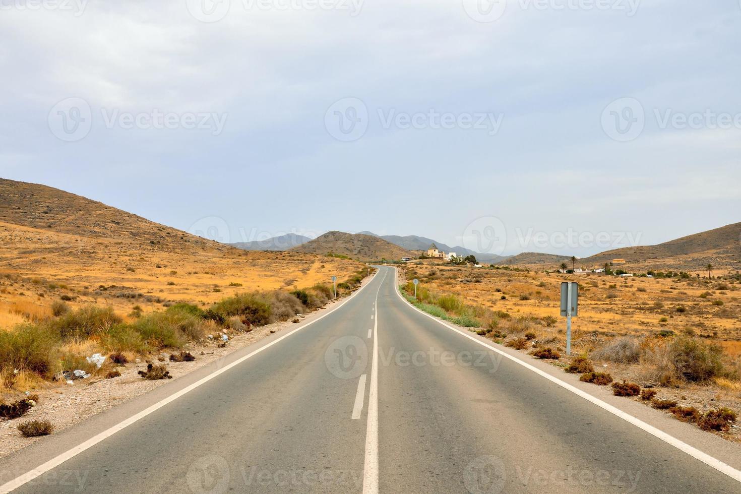 Landscape in summer photo