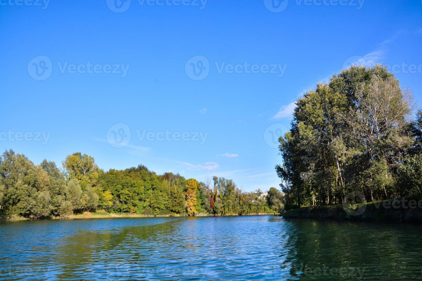Scenic view of the woods photo