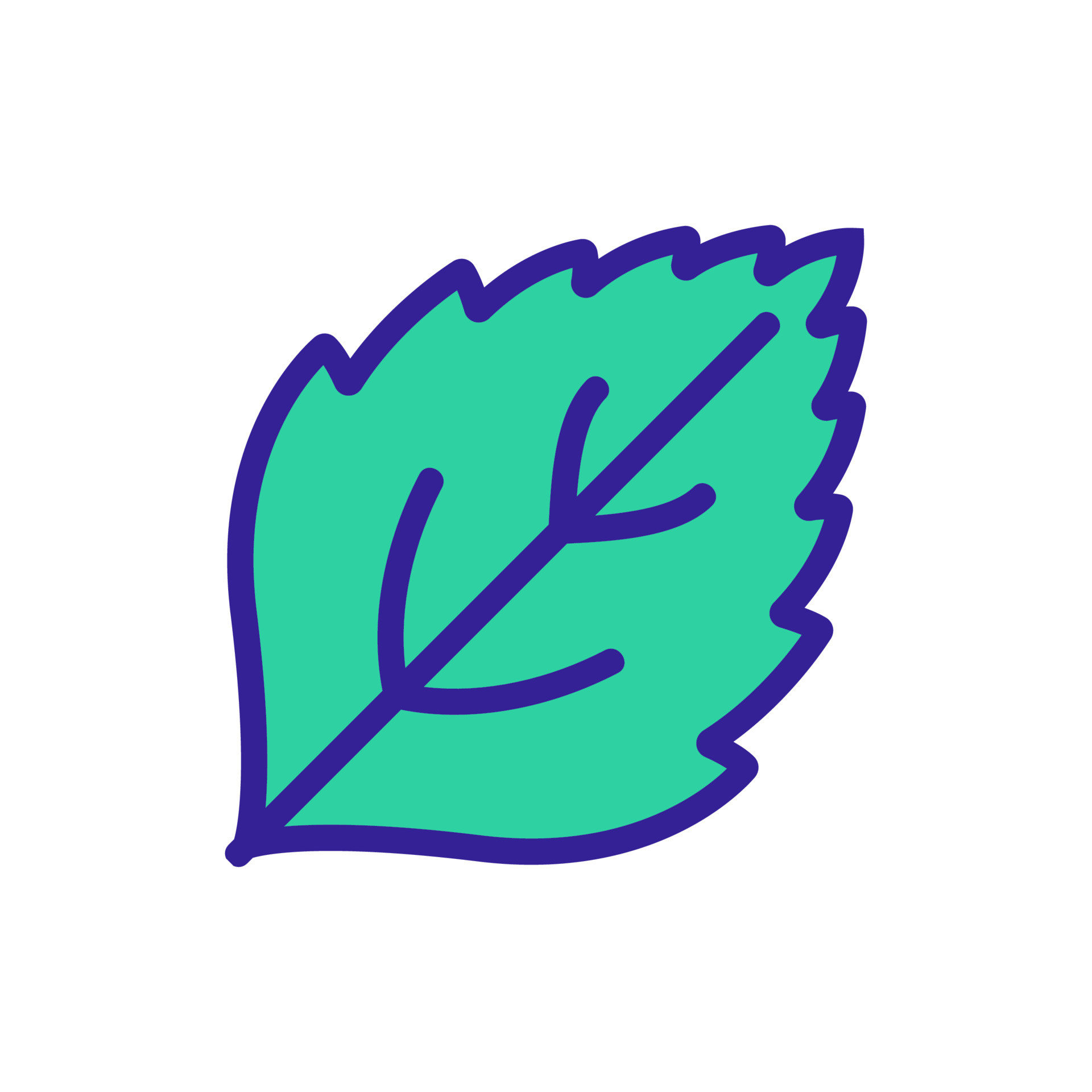 mint leaf closeup view icon vector outline illustration 18856388