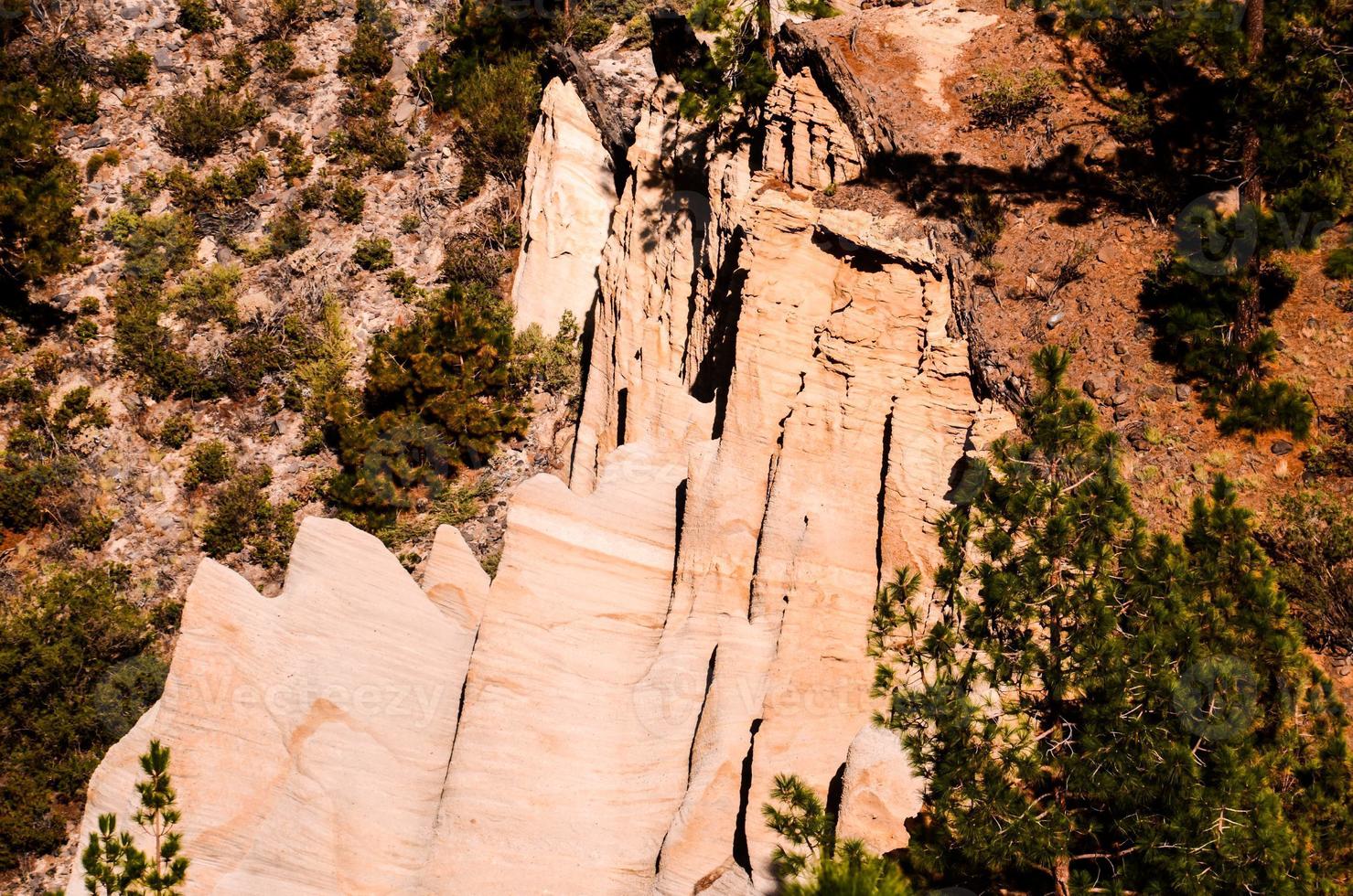 Landscape in summer photo