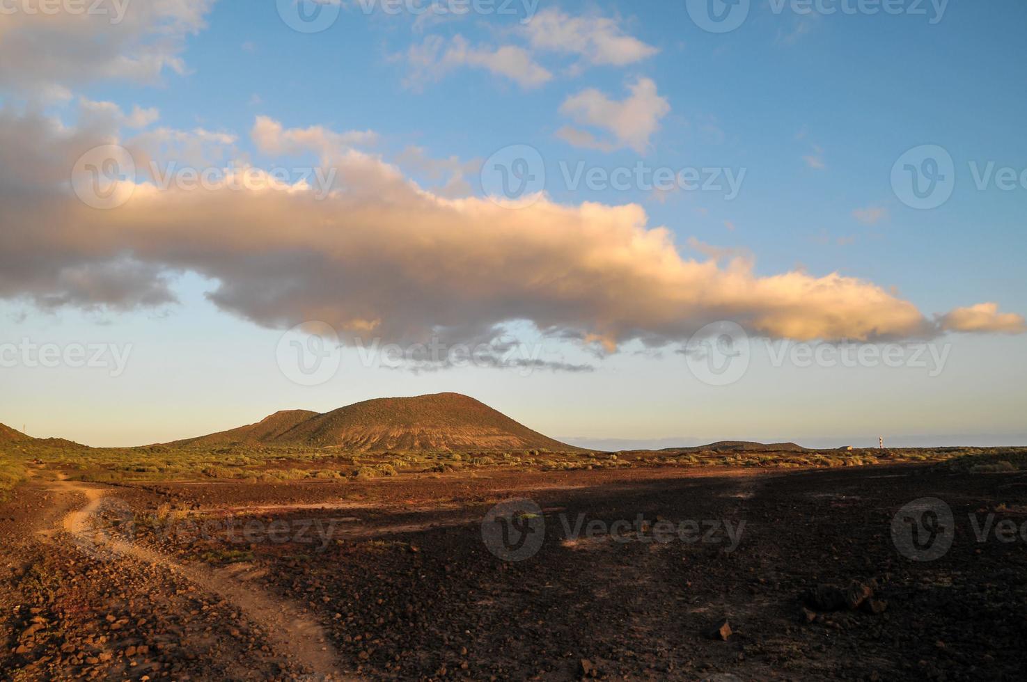 Landscape in summer photo