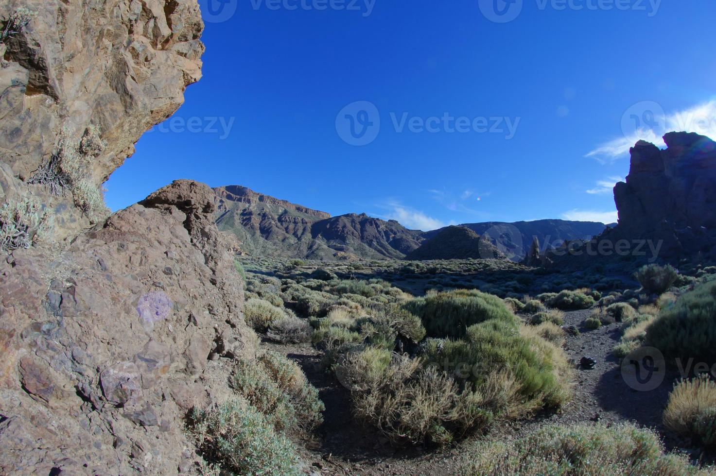 Landscape in summer photo