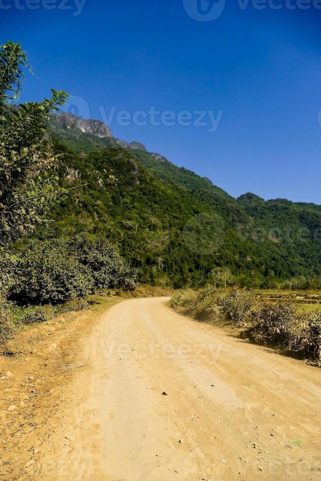 Landscape in summer photo