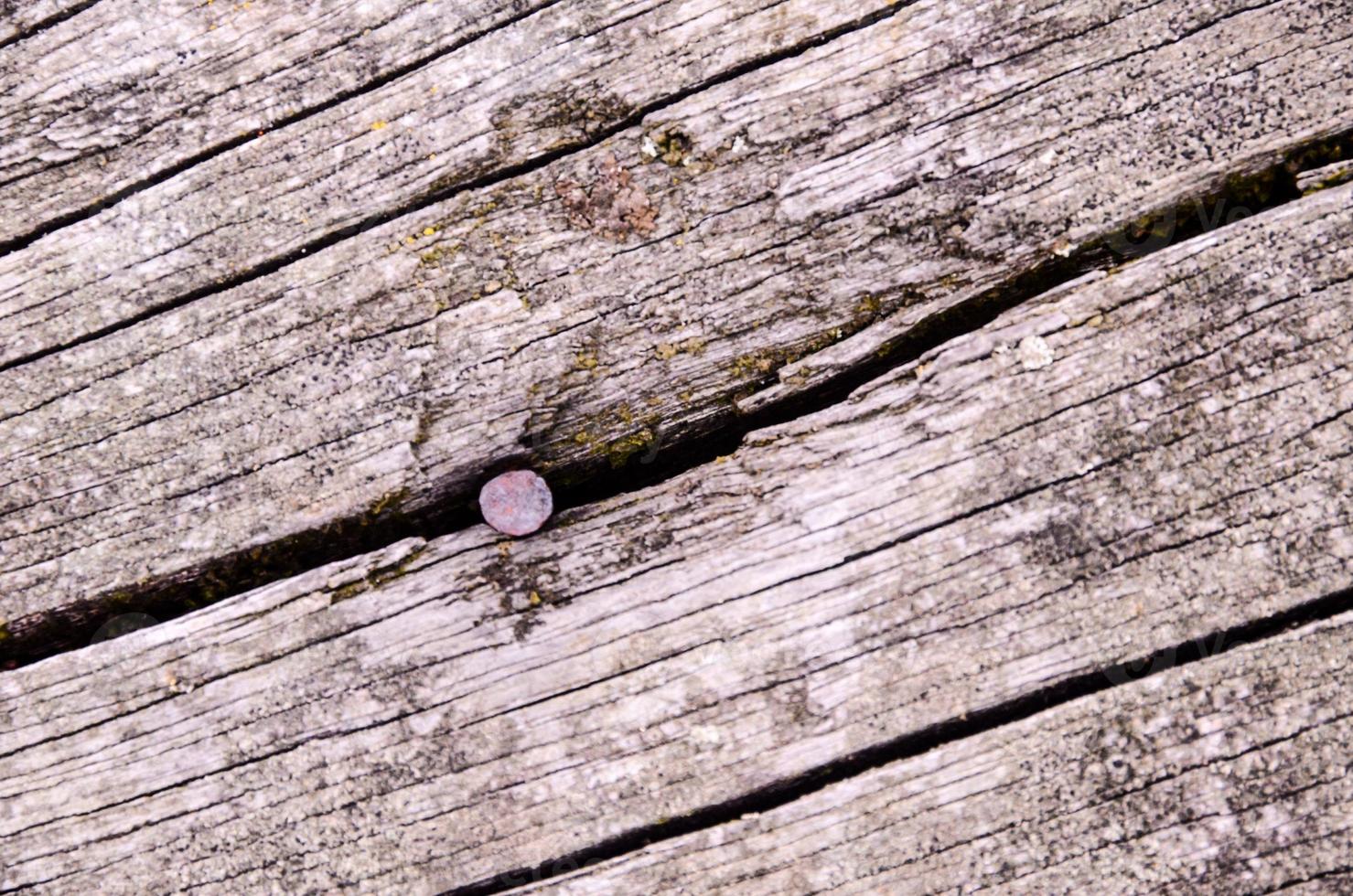 Wood texture background photo