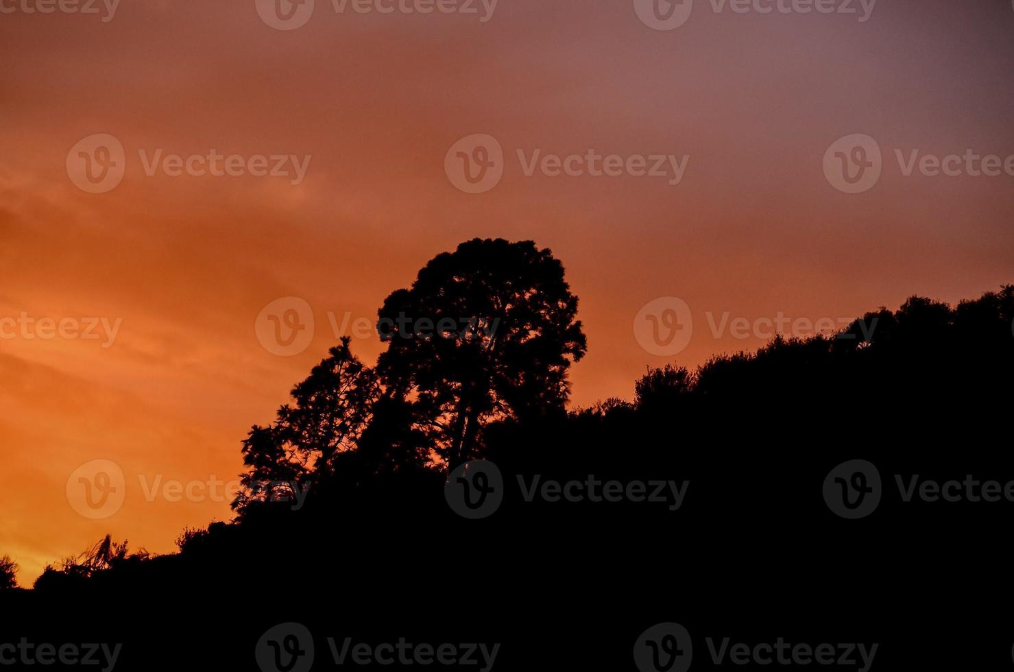 Landscape over the sunset photo