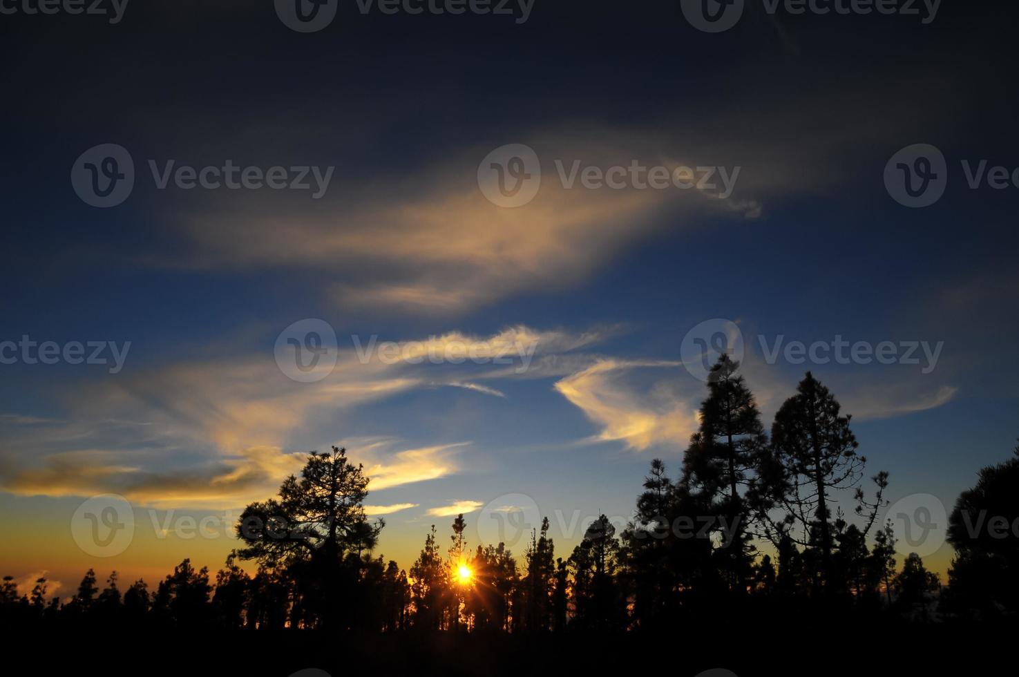 Sunset over the forest photo