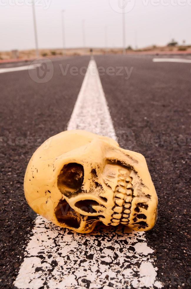 Skull on the road photo