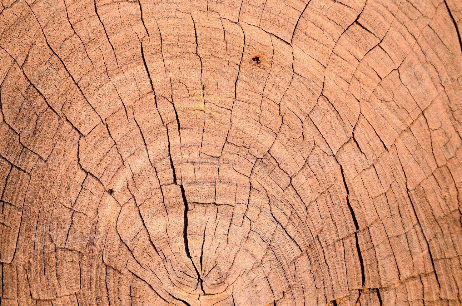 Brown wooden background photo