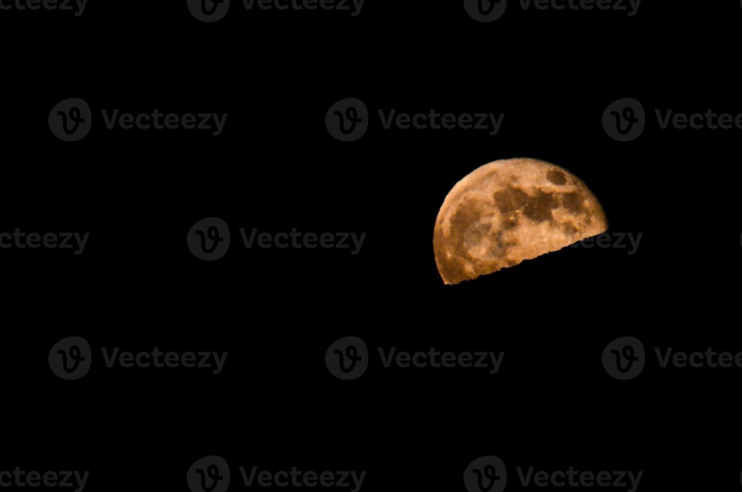 View of the moon photo