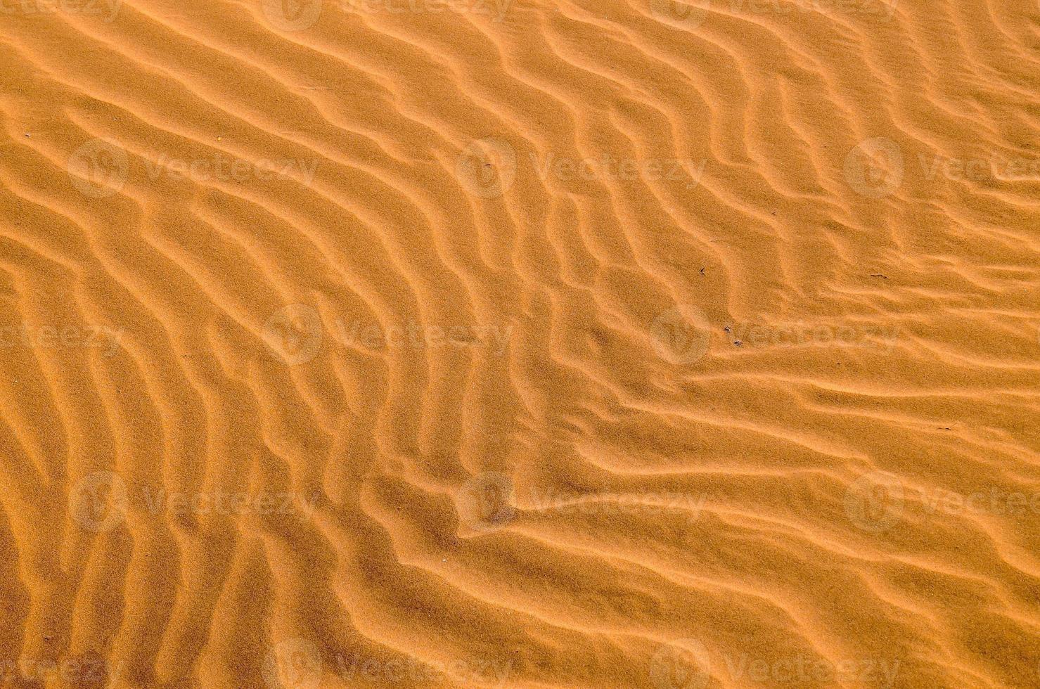 Sand beach close-up photo