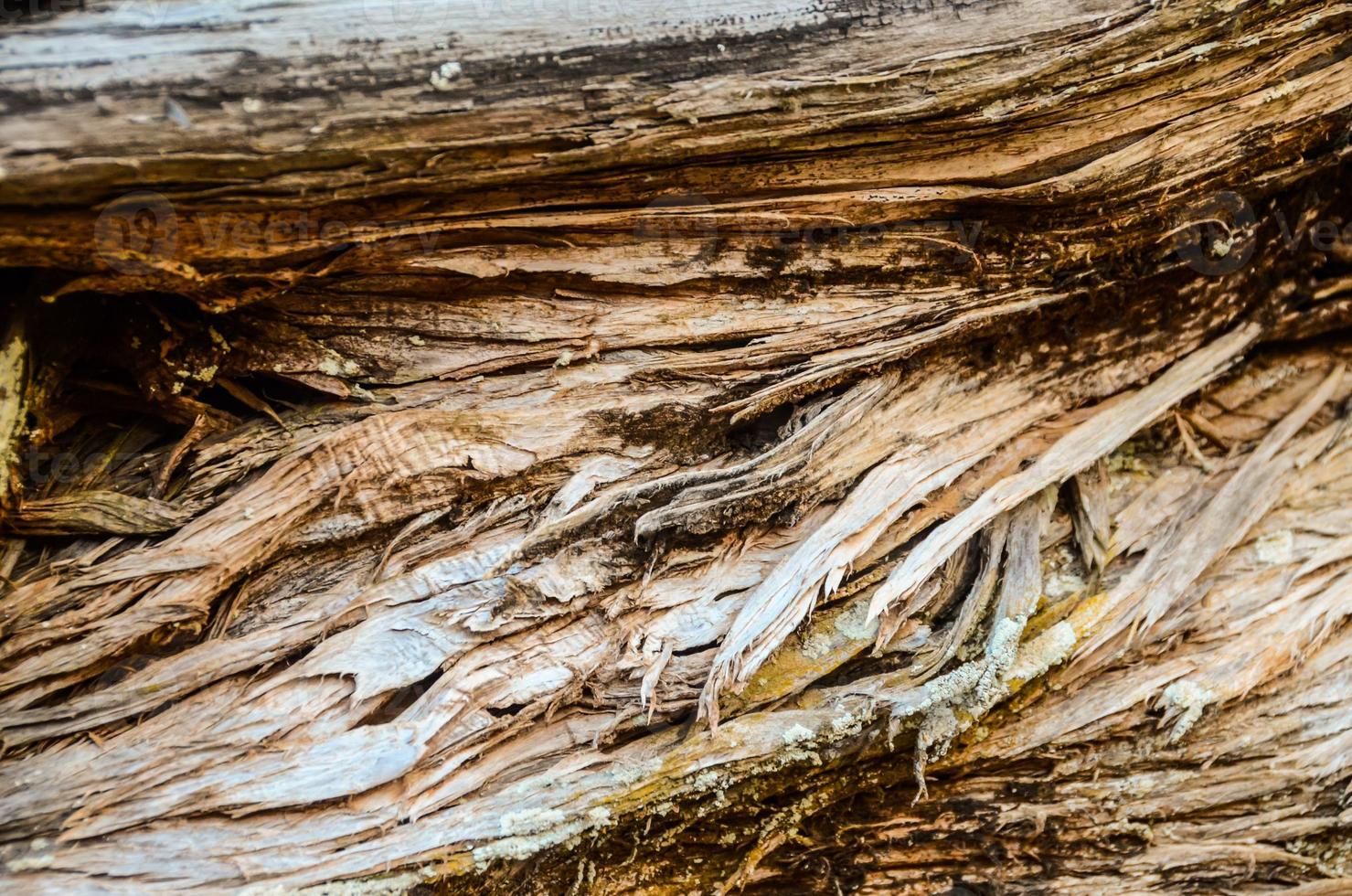 Wooden background close-up photo