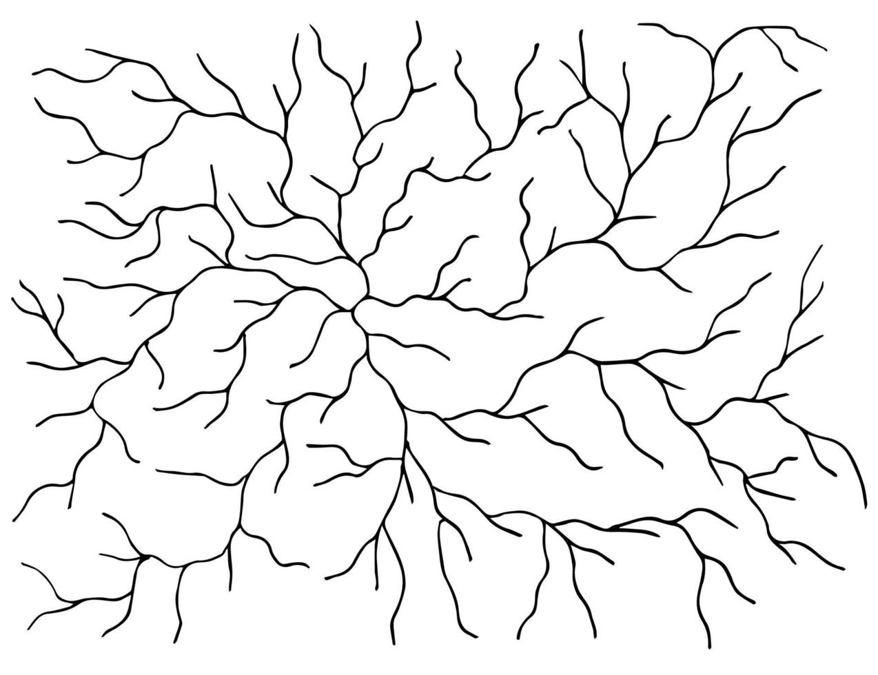 monochrome pattern black and white branches, cracks, natural lines vector