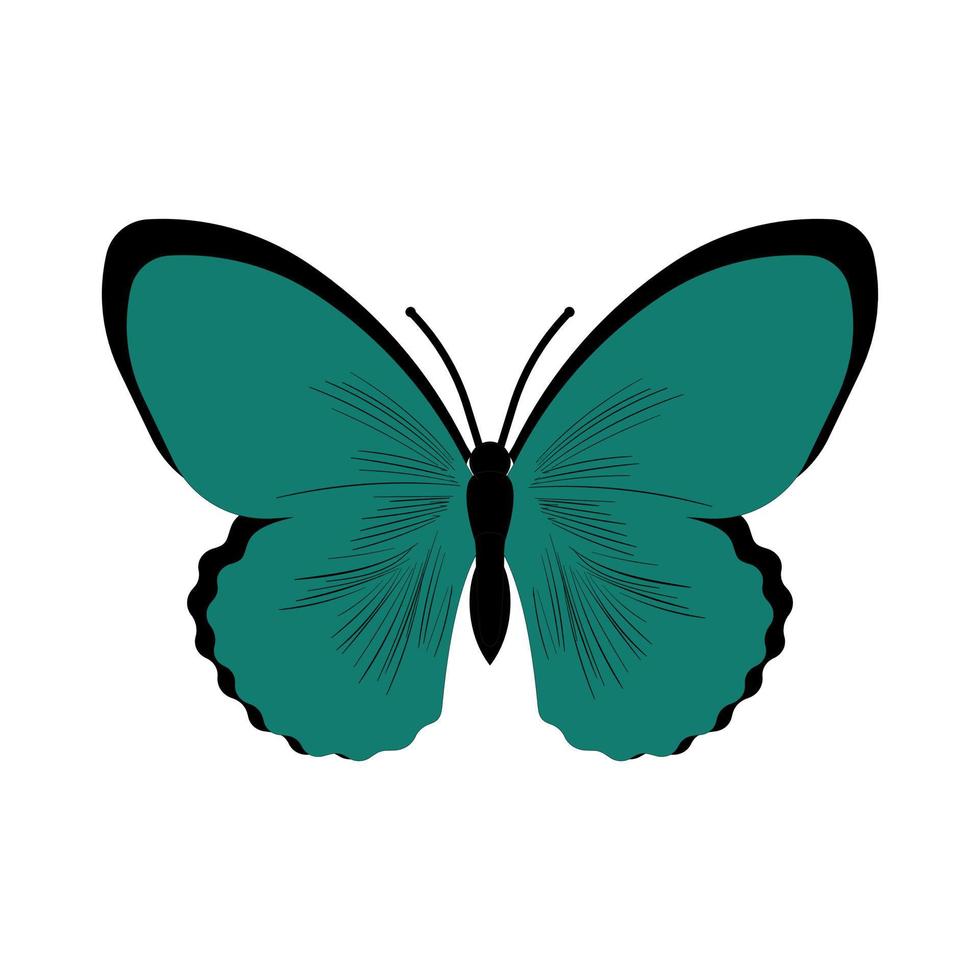 Butterfly vector illustration. Isolated cartoon set icon decorative insect . Vector cartoon set icon butterfly.
