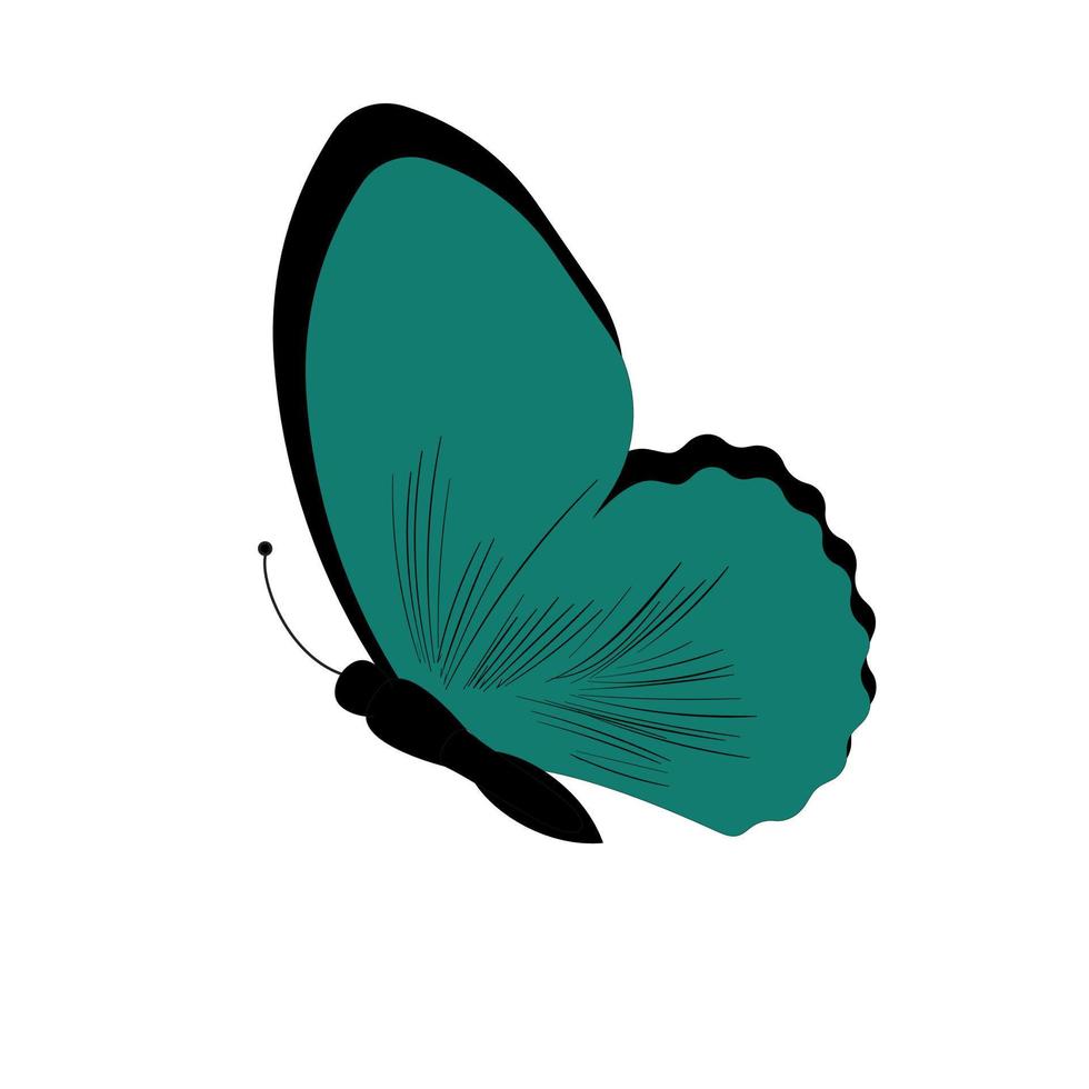 Butterfly vector illustration. Isolated cartoon set icon decorative insect . Vector cartoon set icon butterfly.