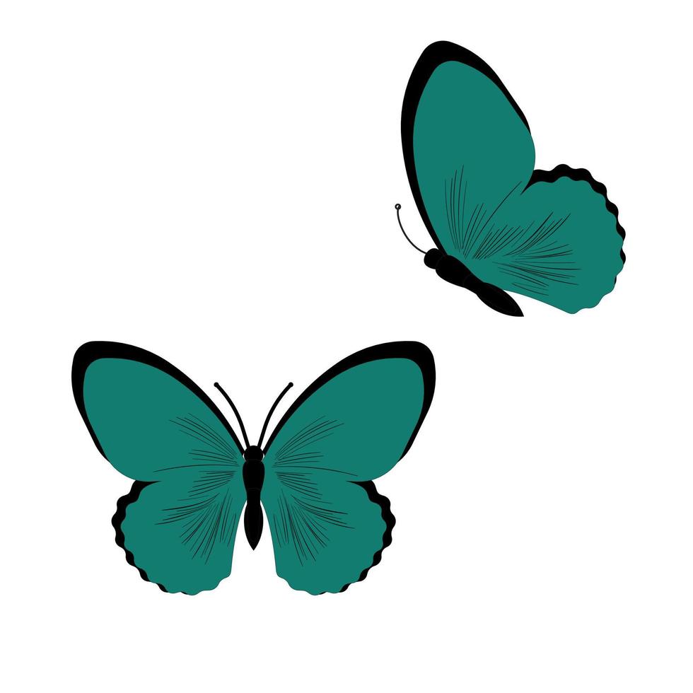 ilustración vectorial de mariposa. conjunto de dibujos animados aislados icono insecto decorativo. vector conjunto de dibujos animados icono mariposa.