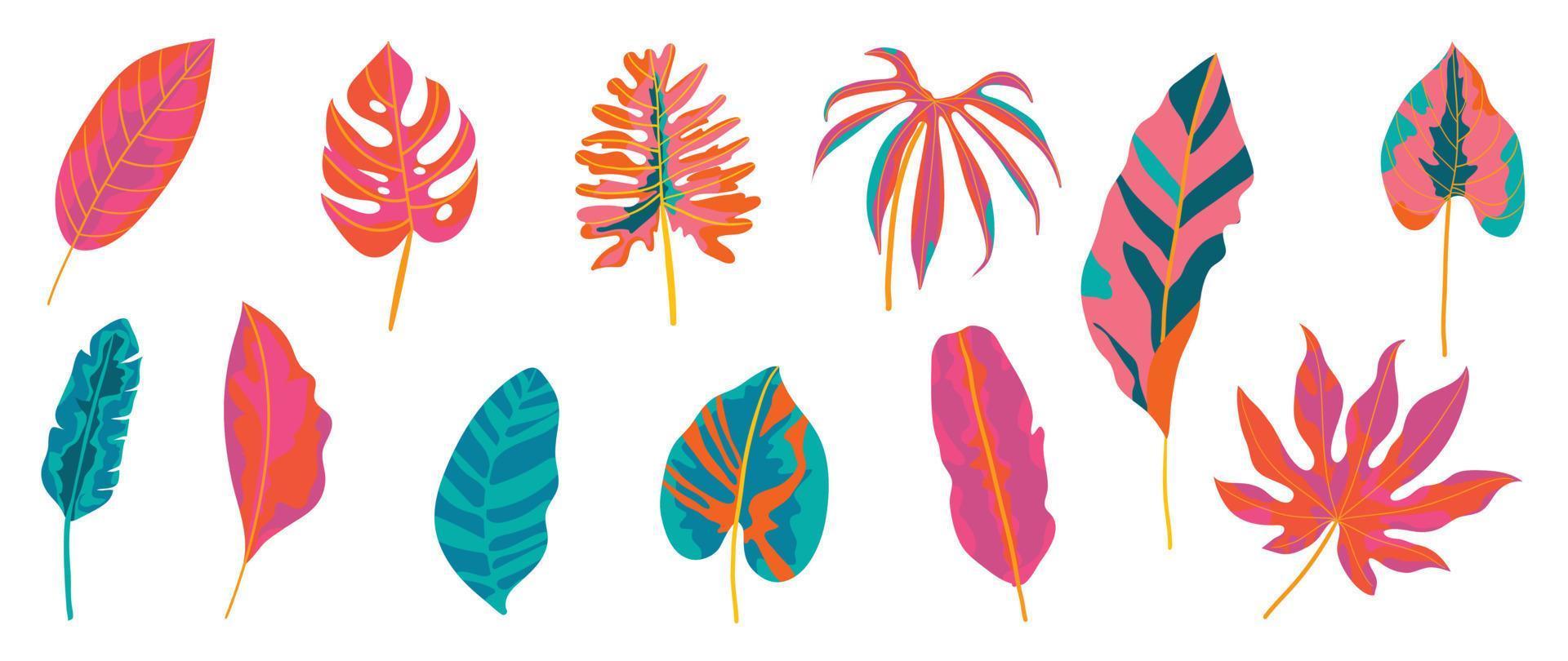juego de vectores de hojas tropicales pintadas a mano. follaje colorido exótico botánico, plantas de la selva, estilo de pintura de hojas de palma aislado sobre fondo blanco. diseño para cosmética, producto, spa, decoración.