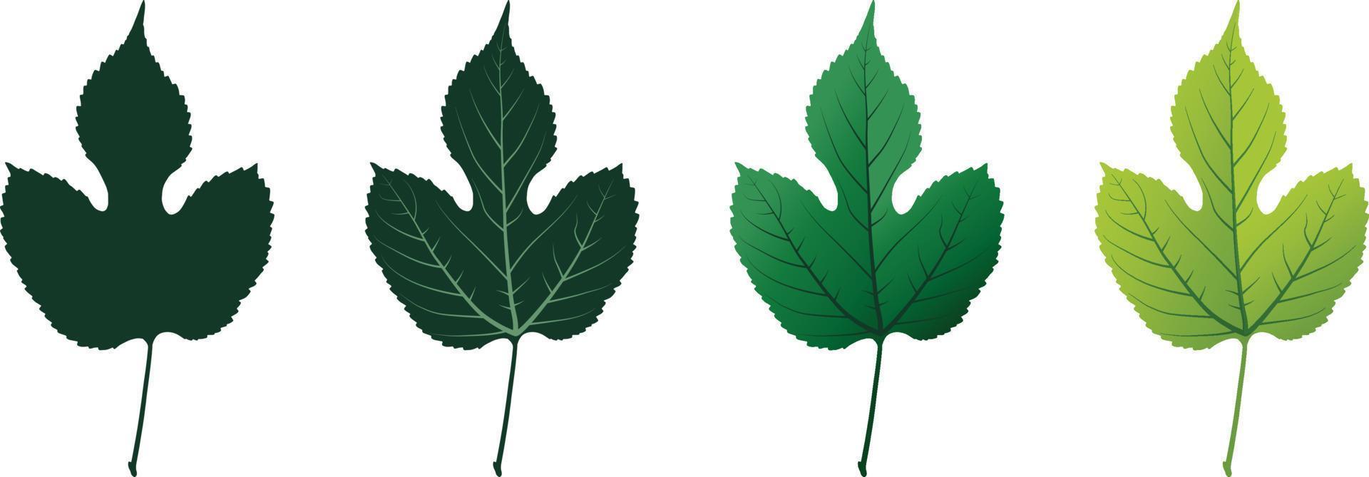 Vector set of decorative floral green maple leaf