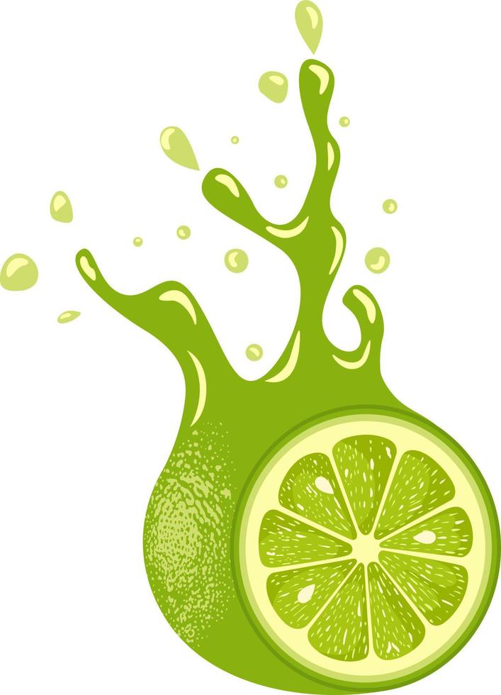 jugo de salpicadura de limón verde aislado vector