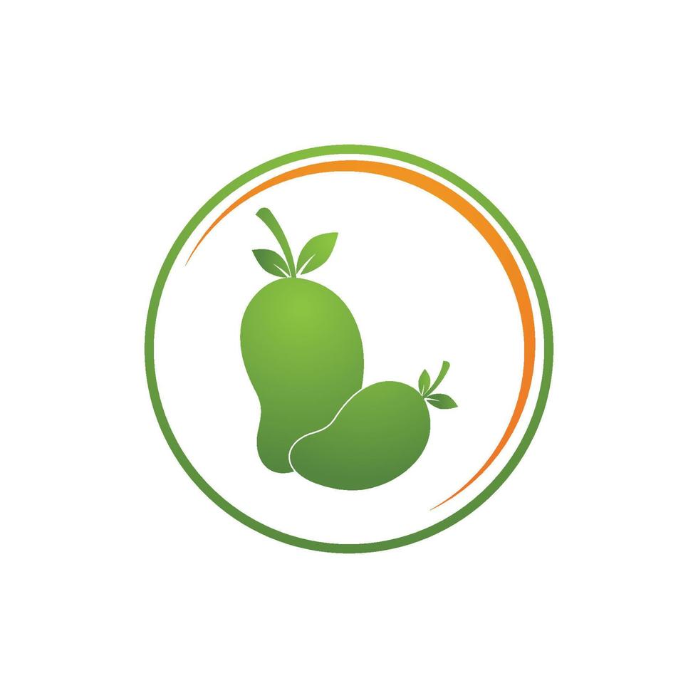 logotipo de mango plano y plantilla de vector de diseño de símbolo