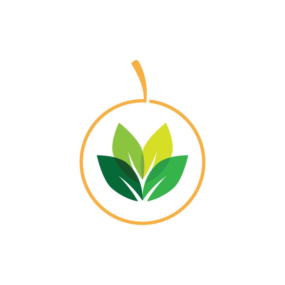 Mango logo flat and symbol design vector template