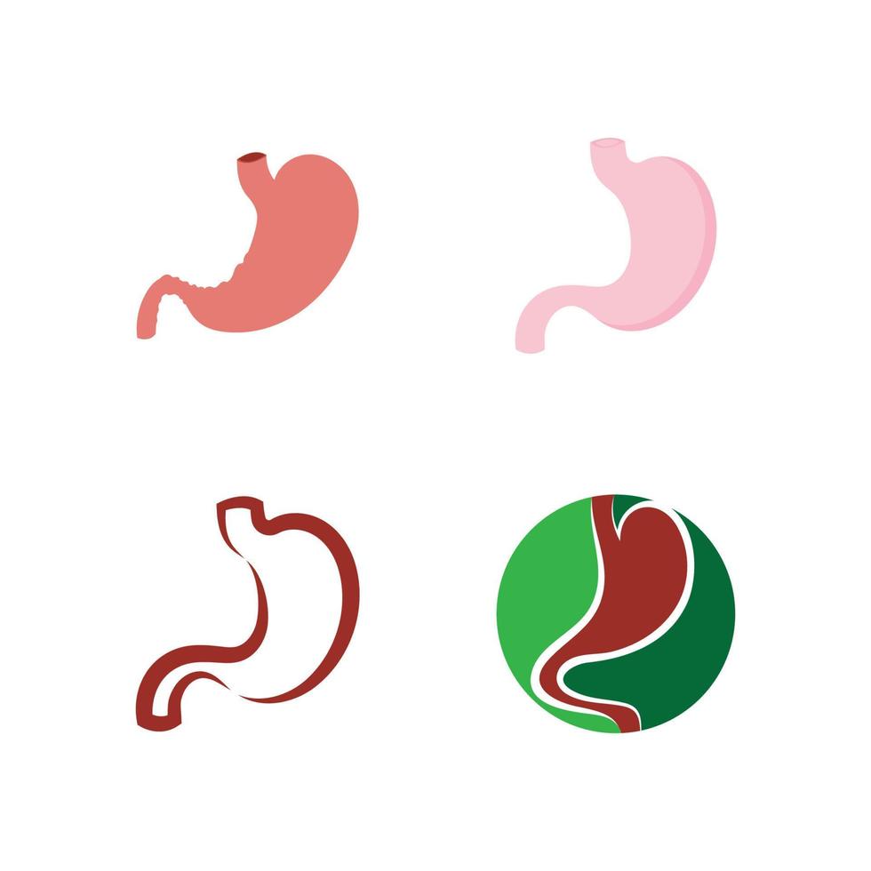 Stomach logo icon illustration vector flat and symbol design