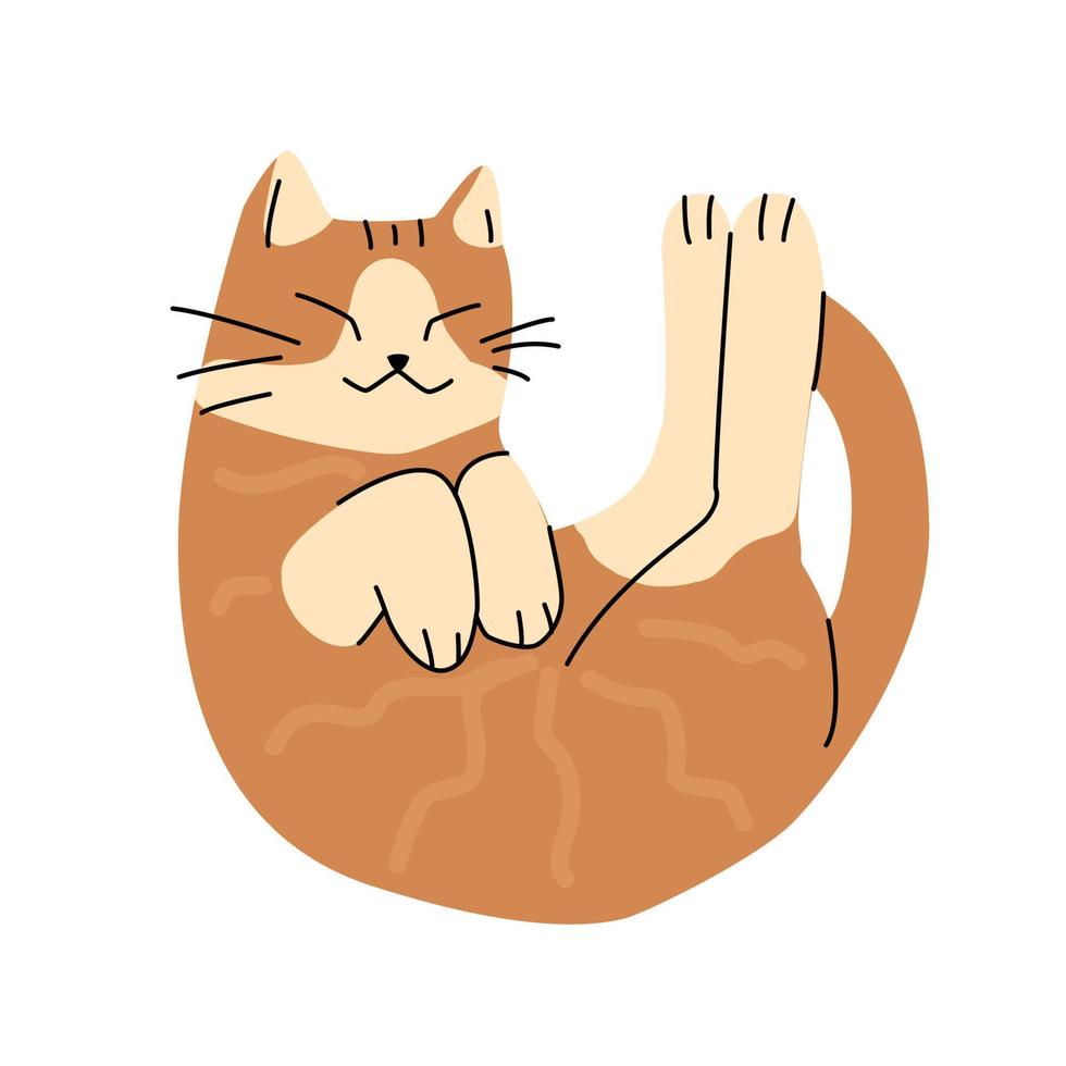 Illustration of cute funny cat with strange pose. Isolated trendy simple art of joyful orange cat. vector