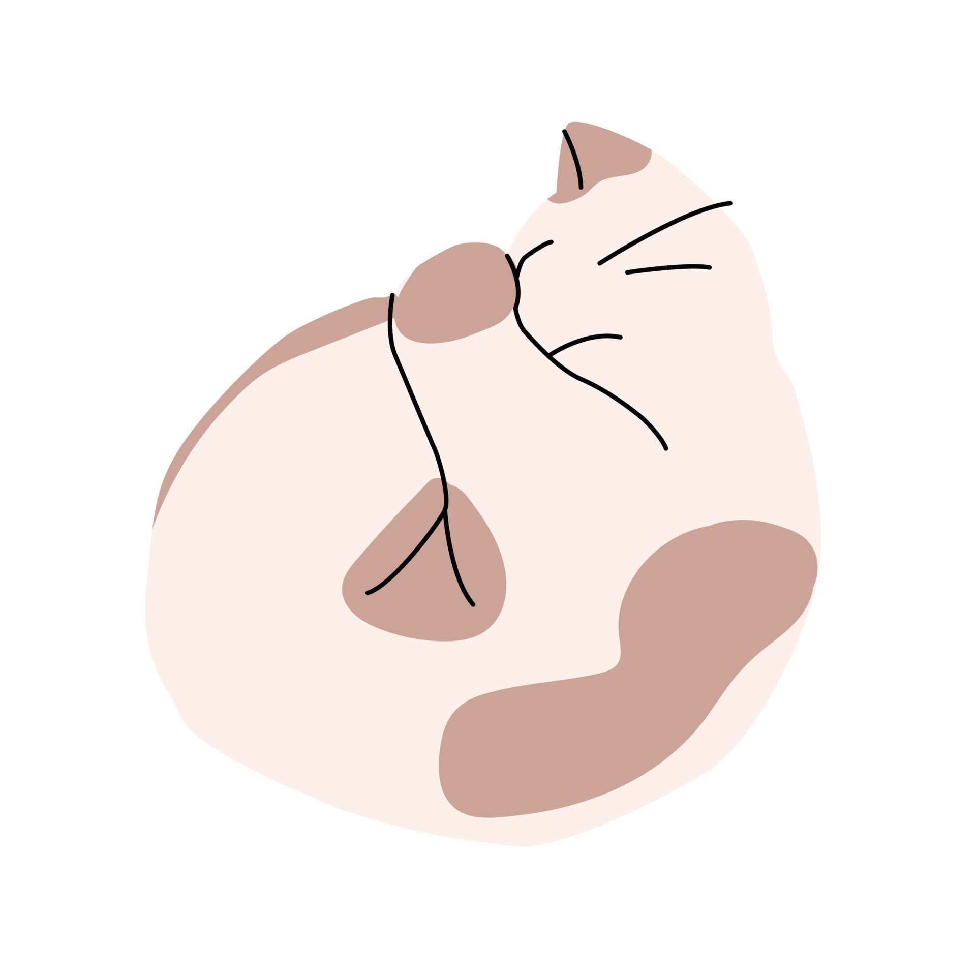 Illustration of cat sleeping in a circle. Isolated trendy simple art