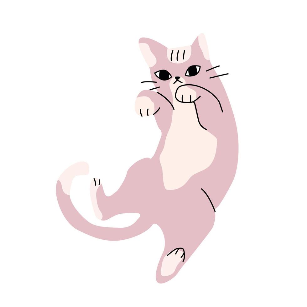 ilustración de un lindo gato rosa aislado, extraña pose divertida. vector