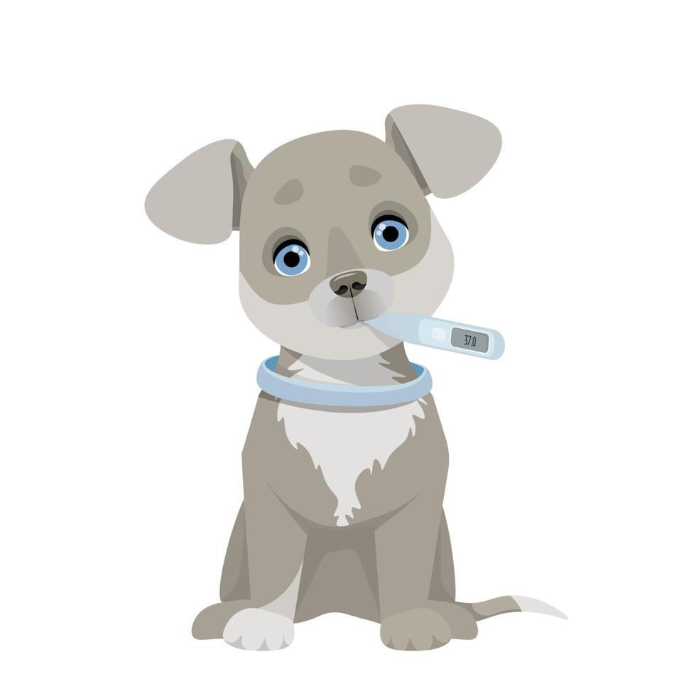Little cute sick puppy with a thermometer in his mouth vector