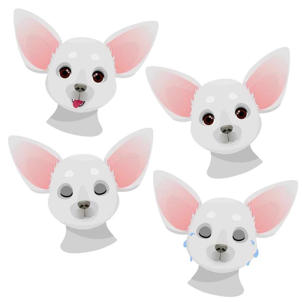 conjunto de pequeñas cabezas chihuahua grises con diferentes emociones vector