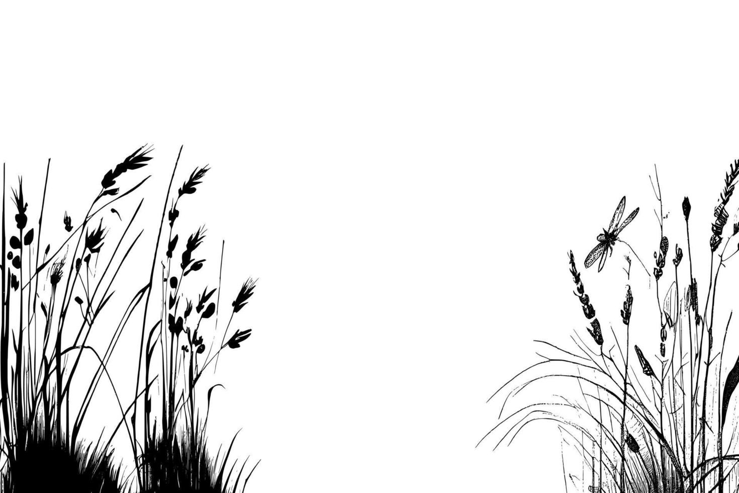 Image of a silhouette  reed  or bulrush on a white background.Monochrome image. vector