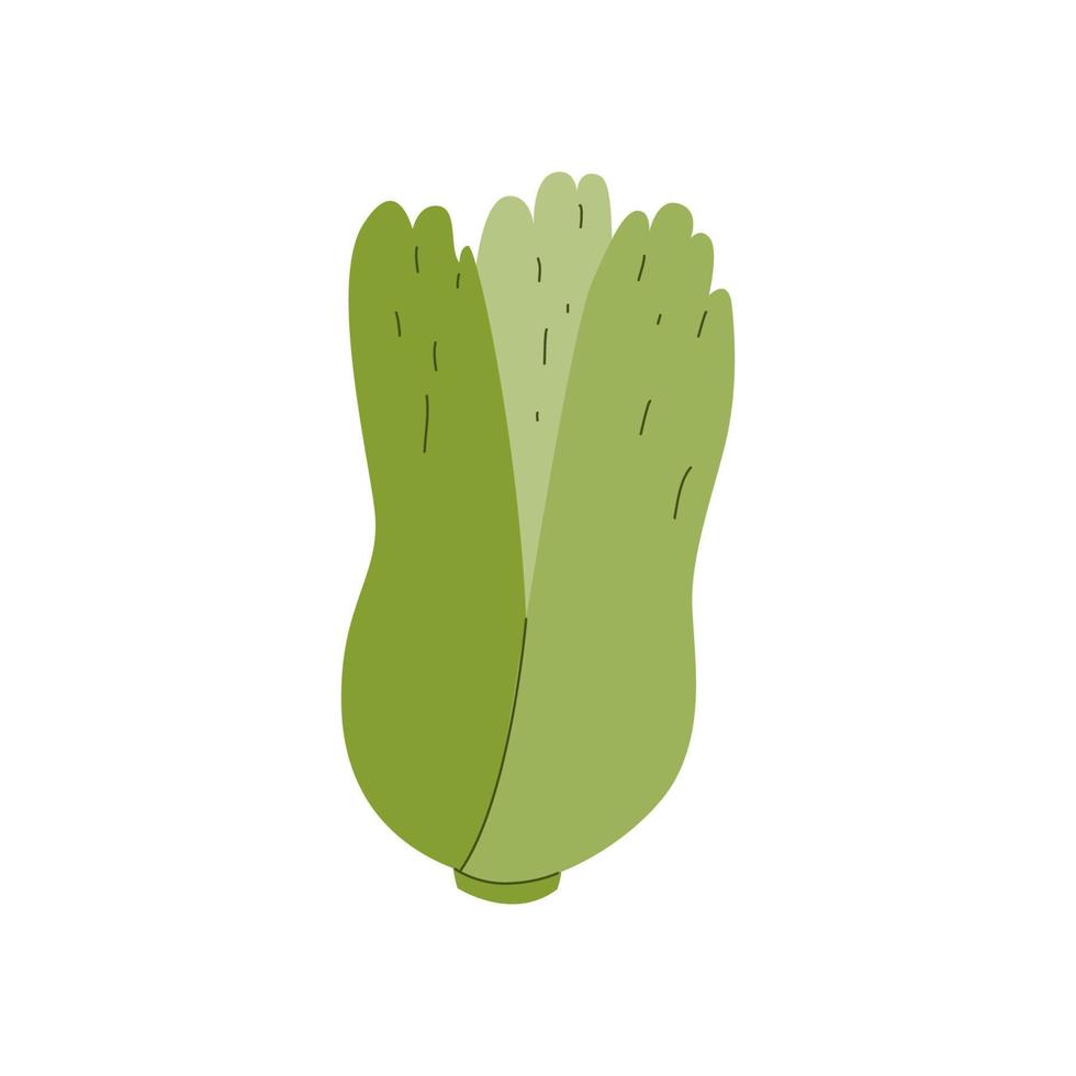 icono de hojas de col china. comida saludable verde. ilustración vectorial plana coloreada aislada sobre fondo blanco vector