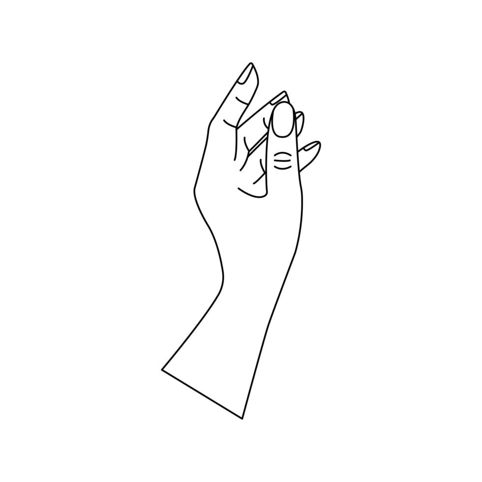 Human hand, gesturing. Linear vector isolated drawing